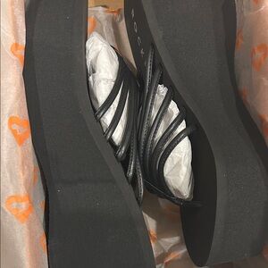 Rocket Dog Orange Box